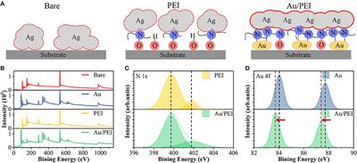 Metal-Enhanced Adsorption of High-Density Polyelectrolyte Nucleation-Inducing Seed Layer for Highly Conductive Transparent Ultrathin Metal Films